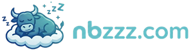 nbzzz.com VPS